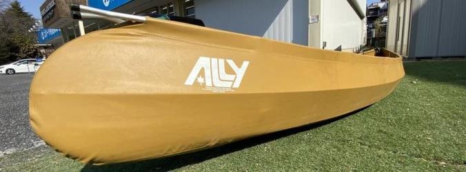 ALLY - Geschichte